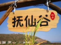 抚仙湖《走近》：抚仙谷II一粒米