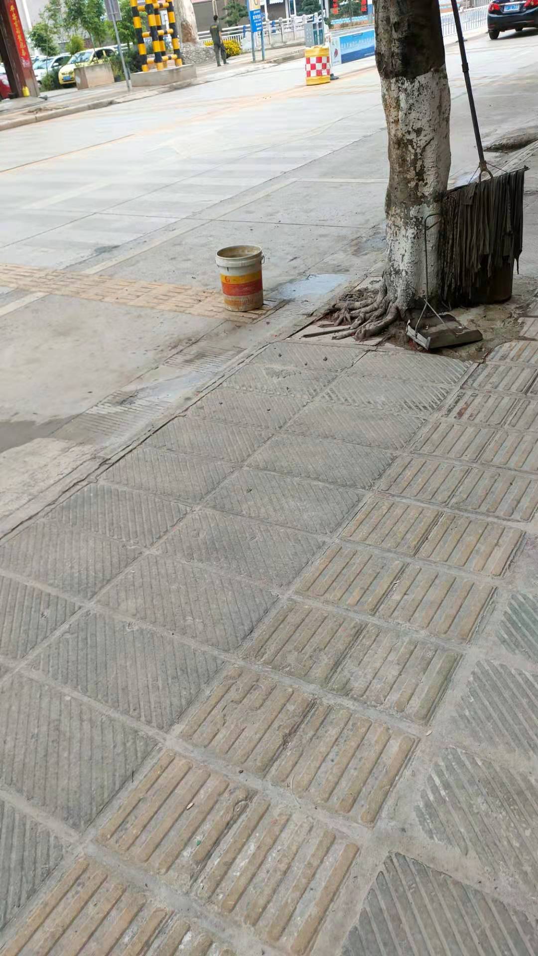 200434doz1li01g5v1sisj.jpg